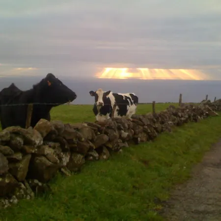 Dom wakacyjny Ocean Front - Casa Santo Antonio