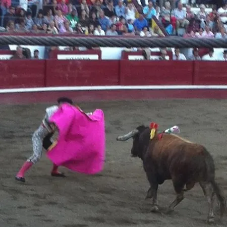 Ocean Front - Casa Santo Antonio *