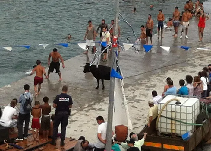 Holiday home Ocean Front - Casa Santo Antonio *